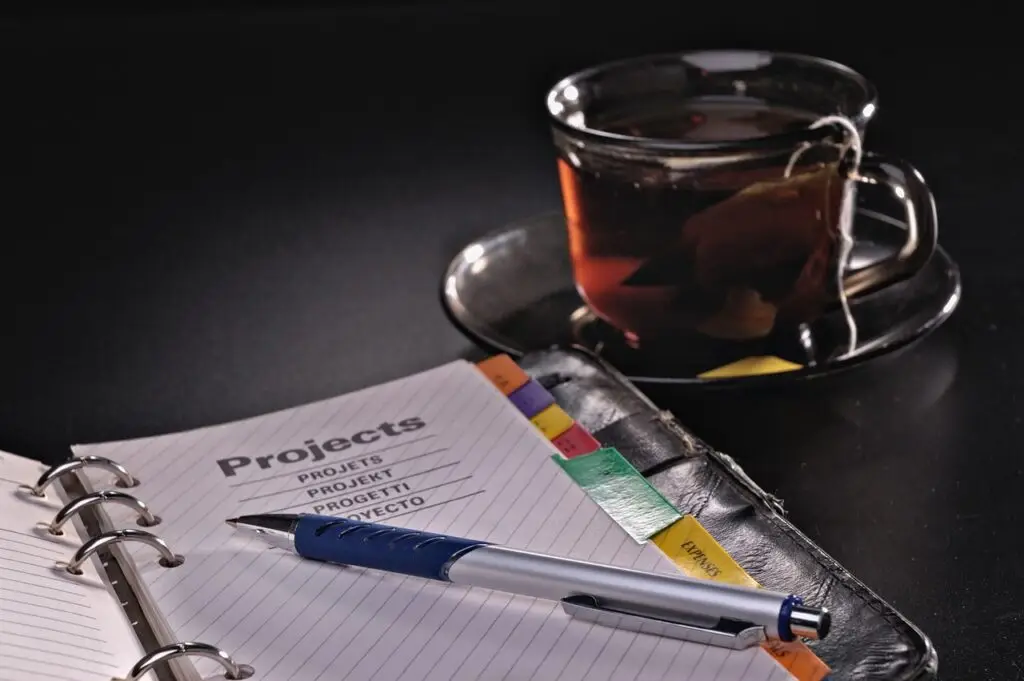 pen, ballpoint, object, write, ink, office, plan, project, success, desktop, table, nature, desk, information, document, open, notepad, communication, paper, conceptual, work, accessories, detail, tea, traditional, water, project, project, project, project, project