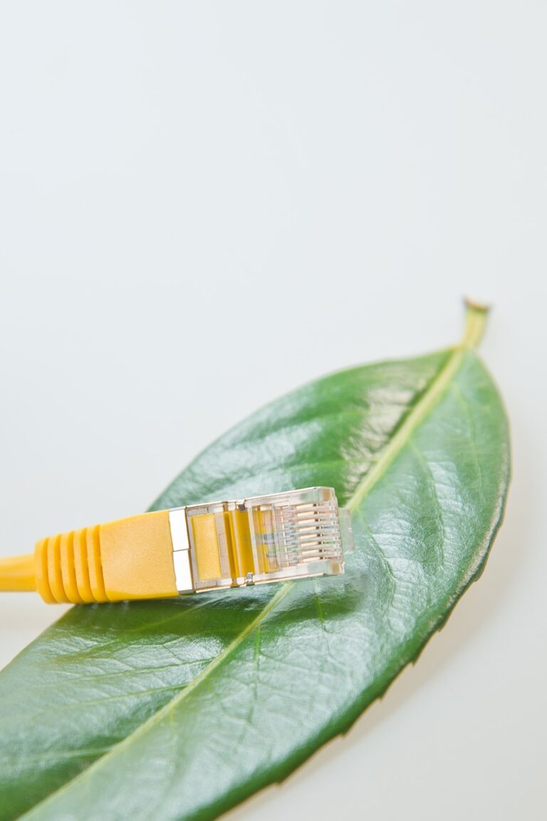 network cable, rj45, patch, patch cord, network, cable, management, nature, data processing, rj-45, connection, plug, lan, network plug, lan cable, rj, macro, yellow, hardware, computer, edp, leaf, eco